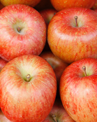 ���i�C���[�W